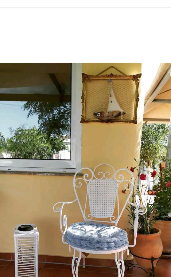 Amaryllis Sweet Home Pírgos Exteriér fotografie